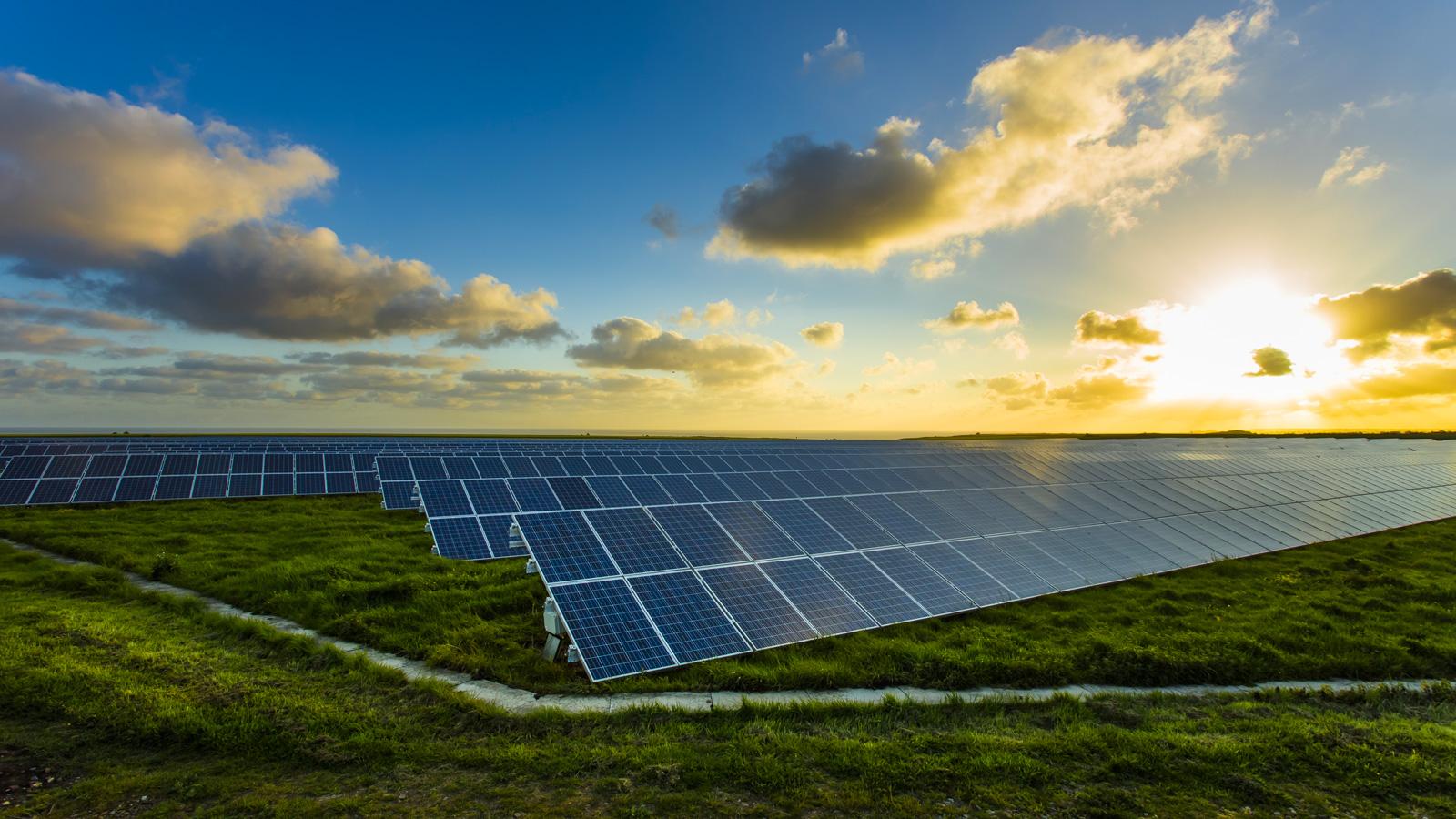 Chính sách chất lượng